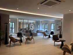 Tiara (D9), Condominium #503325651